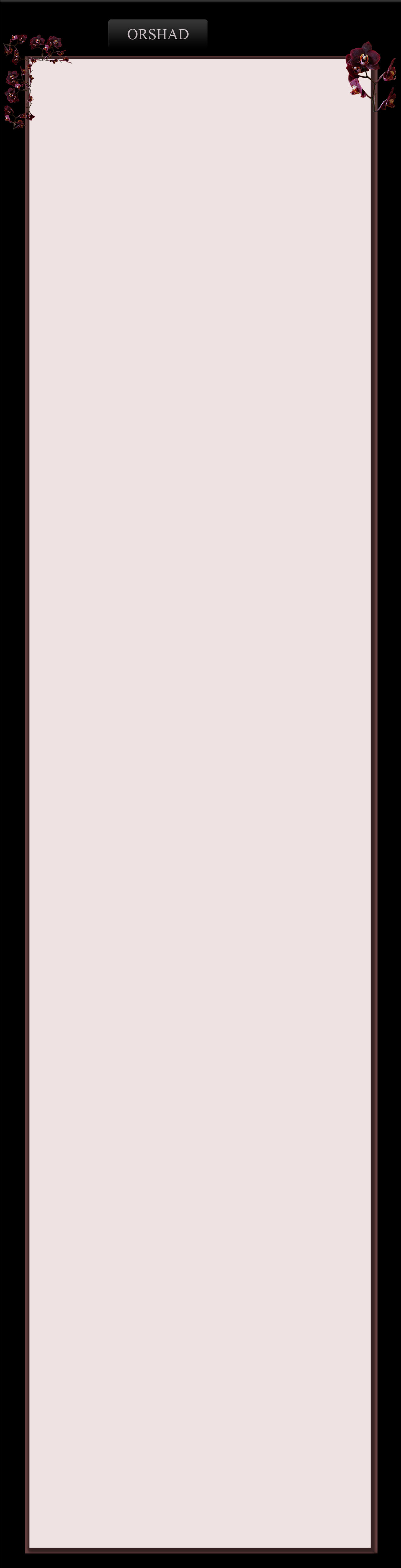 myspace_layout copy.jpg